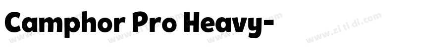 Camphor Pro Heavy字体转换